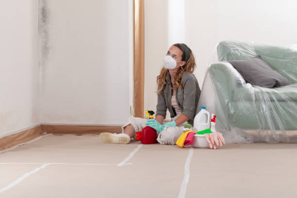 Reliable Mold Testing contractor in Alexandria, PA by WQB Mold Removal